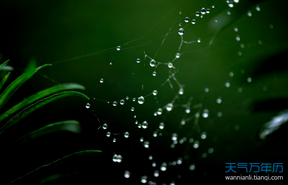 雨水是什麼季節雨水節氣是哪個季節