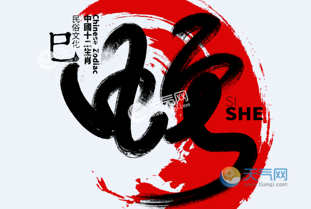 辛巳年是哪一年辛巳年是什么生肖属什么