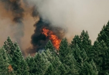 森林火灾是怎么引起的 造成森林火灾的原因有哪些