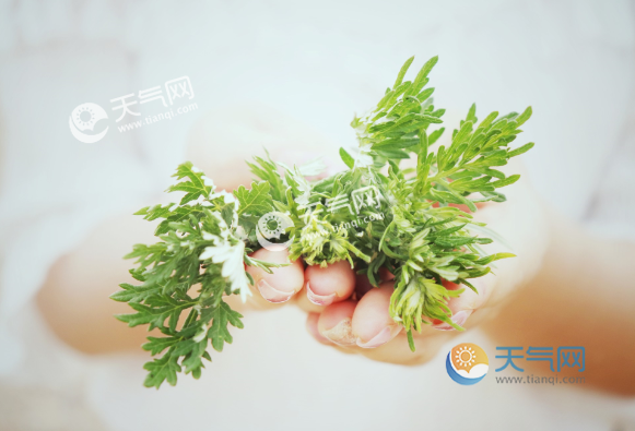 多看无滋味打一成语_无隙打头的成语_少年不识愁滋味,打美术门类