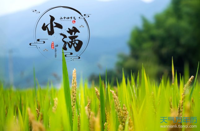 关于小满的谚语有哪些 24节气小满谚语及解释