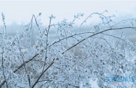 闰十一月是什么意思闰冬月是什么意思