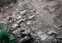 泥石流发生时应该往哪个方向跑 遇上泥石流逃生的正确方法