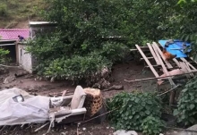 凉山州木里县境内发生泥石流灾害 当地8户386人及时转移无伤亡
