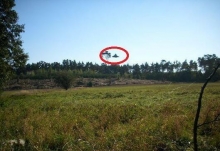 波兰男子拍到罕见UFO清晰照  发烧友称赞这是最好的UFO照片