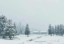 新疆六月飞雪是怎么回事 这次降雪和冷空气有关