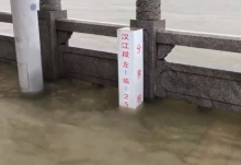 长江汉口站水位超0.40米 武汉轮渡受强暴雨影响停运