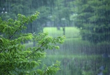 今明两天浙江将有中到大雨 需注意做好防雨措施