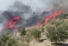 土耳其伊斯坎德伦发生森林火灾 数十辆私家车受损无人员伤亡