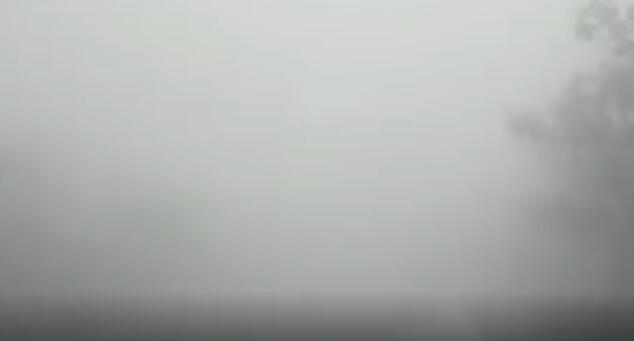山东泰安受大雾影响 部分收费站临时交通管制