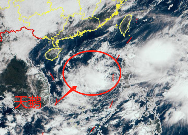 台风为什么叫台风_台风：_台风纳沙深圳台风蓝色