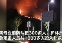 广东肇庆端州区羚山发生山火 市消防投入1000多人彻夜扑救