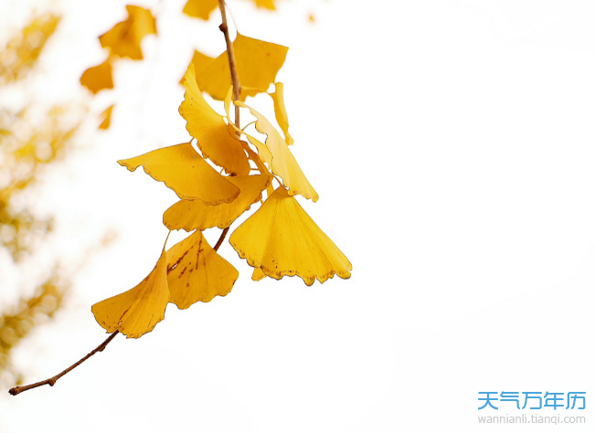 今年哪天入伏第一天_今年入伏是哪天_今年入伏是哪一天