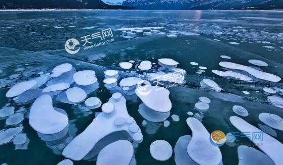 新疆赛里木湖现冰气泡景观是怎么回事 冰气泡景观是怎么形成的 - 天气