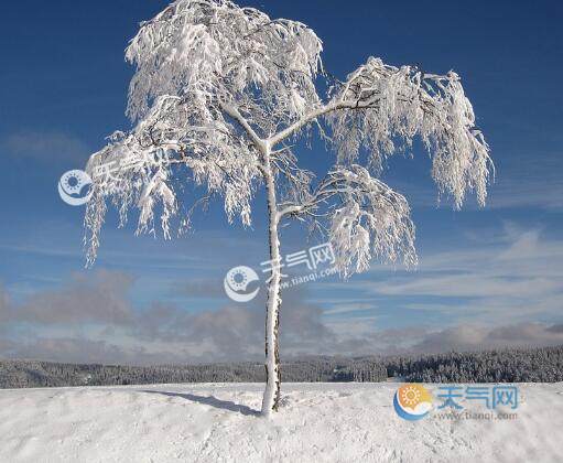 中央气象台发布今冬首个寒潮橙色预警 近4年来首次发布-今日天气网