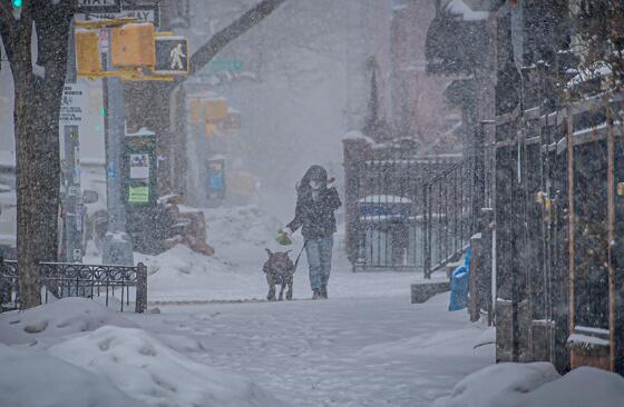 美国遭遇暴风雪袭击至少31人死亡 目前有超过310万家庭停电