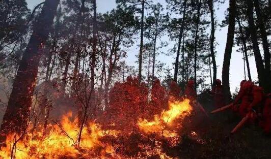 应急管理部：今年4月全国多地林区森林火灾风险高