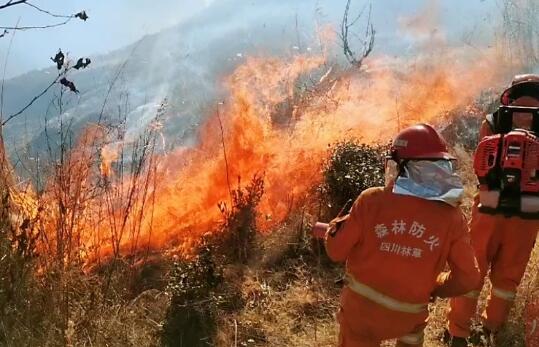 四川凉山冕宁山火最新消息今天 已经烧了5天仍在扑救中