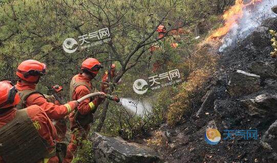 林草局:今年一季度发生森林火灾398起死亡9人