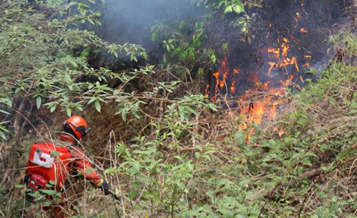 云南大理发生森林火灾近千人参与扑救 目前山火原因正在调查中