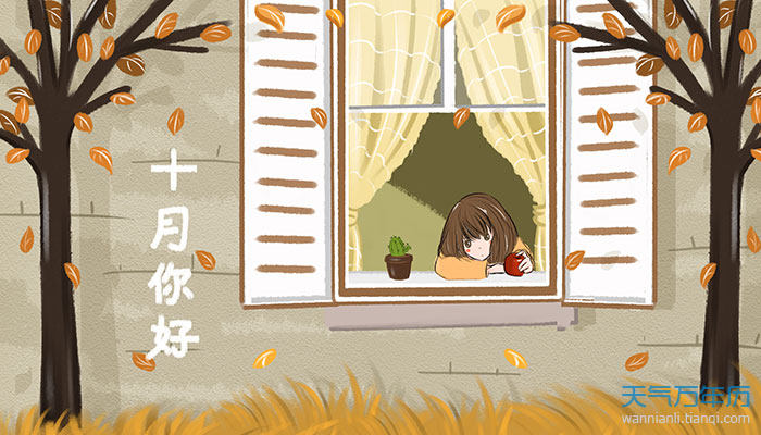 十月份节日有哪些10月有哪些节日全部