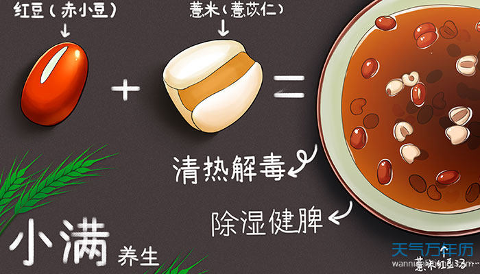 小满吃什么食物养生 小满养生吃什么好