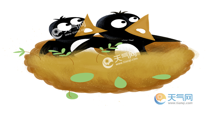 燕子在家里搭窝预示着什么意思燕子做窝的寓意