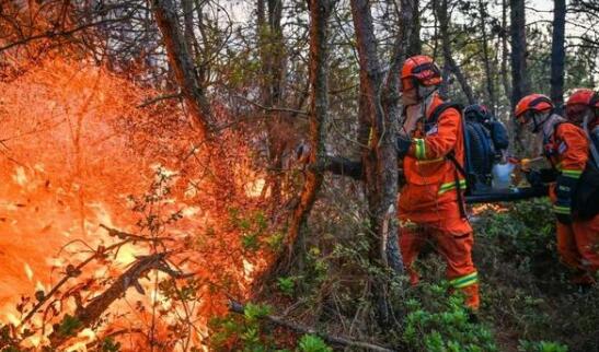 昆明社区一水库发生森林火灾 消防员5小时奋战将火灾扑灭