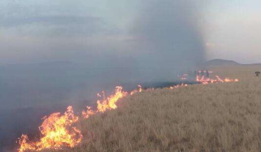 蒙古国发生草原火灾过火面积3500公顷 目前大火已被全部扑灭