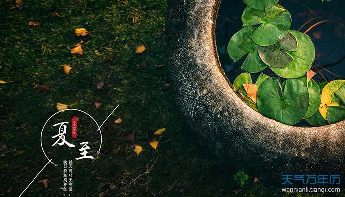 夏至节气的含义 介绍夏至节气