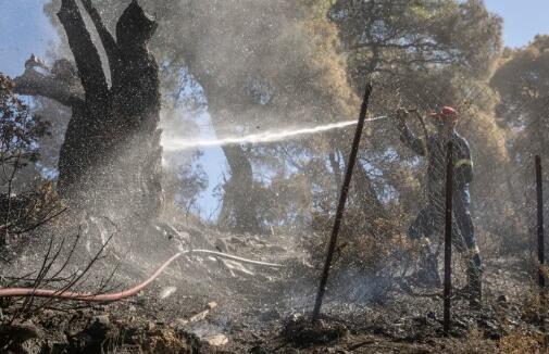希腊首都雅典发生森林火灾 目前火灾未造成人员伤亡