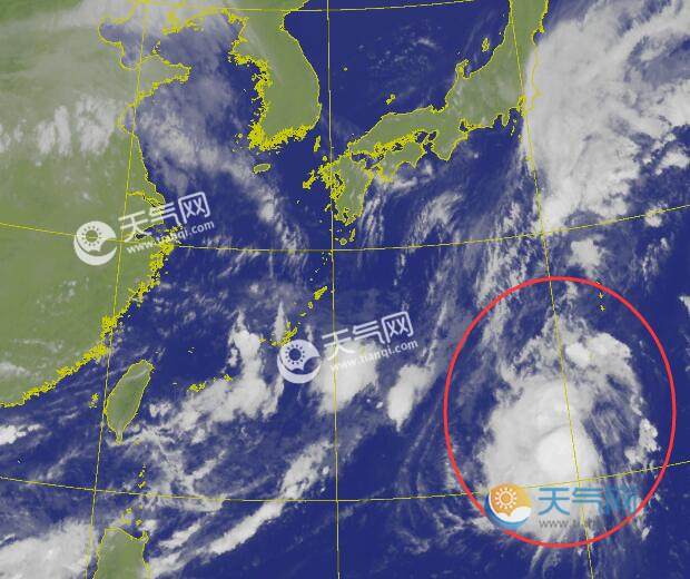 颱風薔琵最新消息今日衛星雲圖 2021年5號颱風最新雲圖發展情況