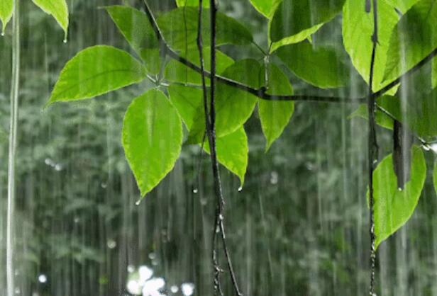 广西今至后天北中部雨势猛烈 柳州桂林等暴雨伴强对流天气