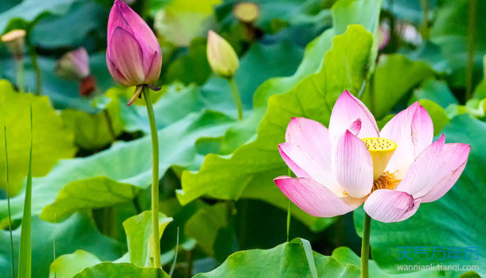 什么的季节叠词 _什么的季节-第1张图片-潮百科