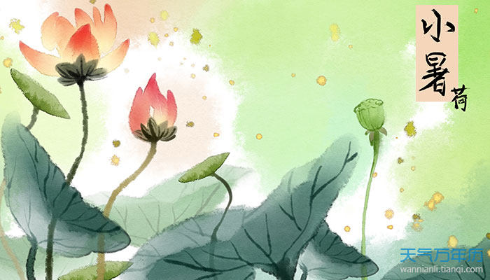 小暑节气的风俗小暑的活动有哪些