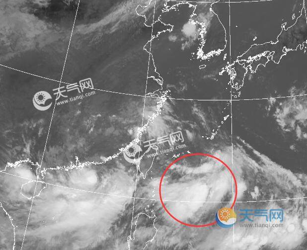 2021年10號颱風颱風路徑實時發佈系統雲圖 