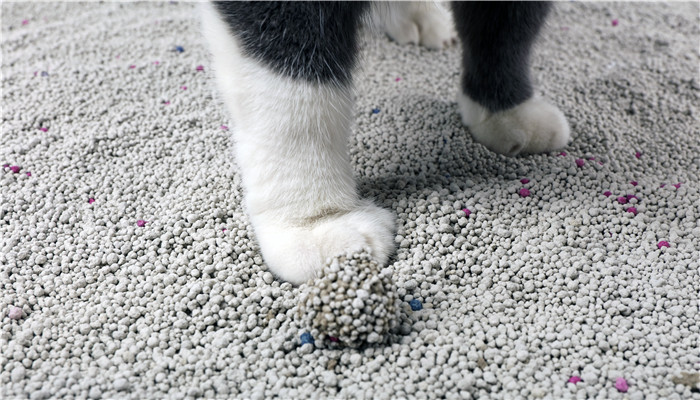 猫砂盆放在家里什么位置比较好 猫砂盆放在家里哪个地方较好
