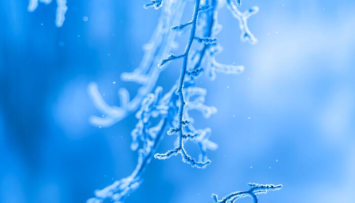 呼伦贝尔现极寒天气单元门被冰封 极端最低气温为零下47.1℃
