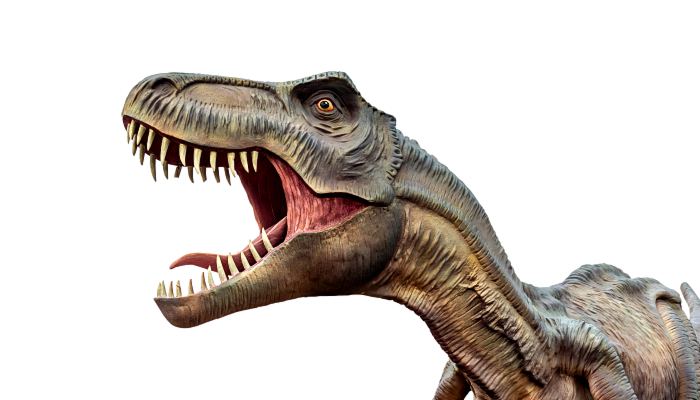 广东肇庆首个恐龙遗迹被发现 共7个兽脚类恐龙脚印