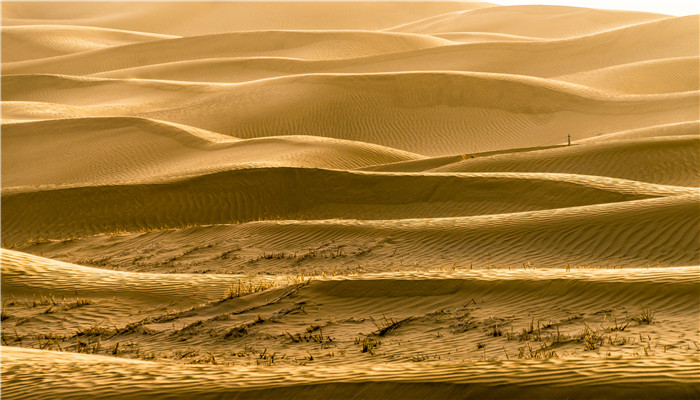 中國最大的沙漠叫什么名字 中國最大的沙漠是什么