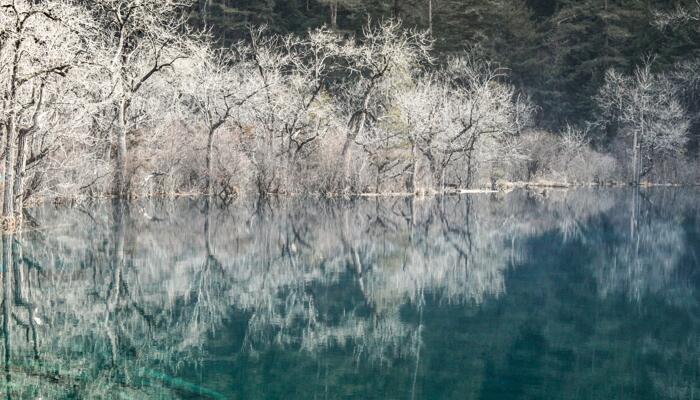 春雪后的九寨沟有多美 白蓝相间美如仙境