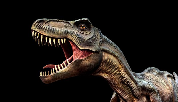 院士称恐龙没有完全灭绝 这种动物竟然是恐龙的后裔