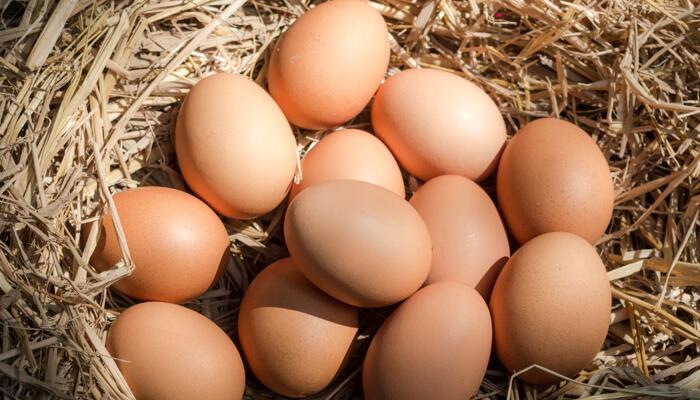 立夏吃蛋的风俗由来 立夏这天为什么要吃鸡蛋