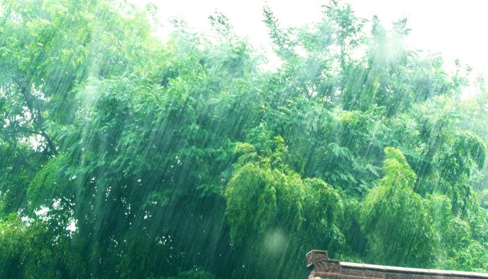 今福建龙岩漳州部分地区有暴雨 福州本周内都是雨雨雨