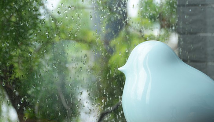 2022年梅雨季節是什麼時候梅雨季節是幾月份梅雨季節是什麼意思