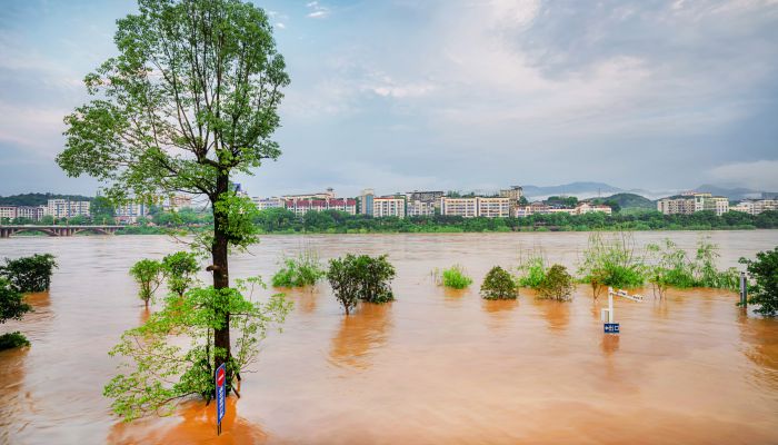 贺州昭平县部分乡镇强降雨致河水暴涨 农田公路被淹多处公路塌方