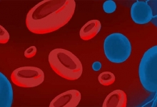 人类血栓中首次发现微塑料 微塑料对人体有什么危害