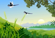 萌鸟仅存约700只全球告危 被称为“自带饭勺”的鸟儿