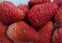 草莓上市部分品种近200元一斤 吃草莓要注意什么