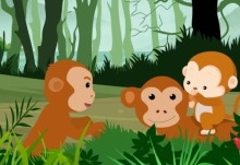 哪种动物属于秦岭四宝 金丝猴是秦岭四宝还是金雕